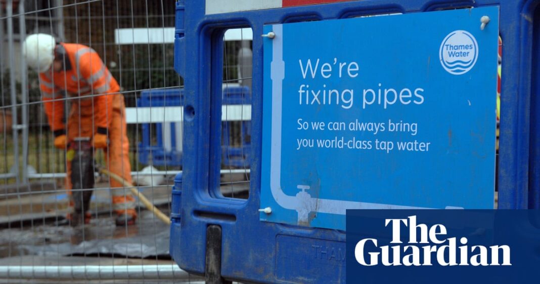 New commission may ban English water companies from making a profit | Water