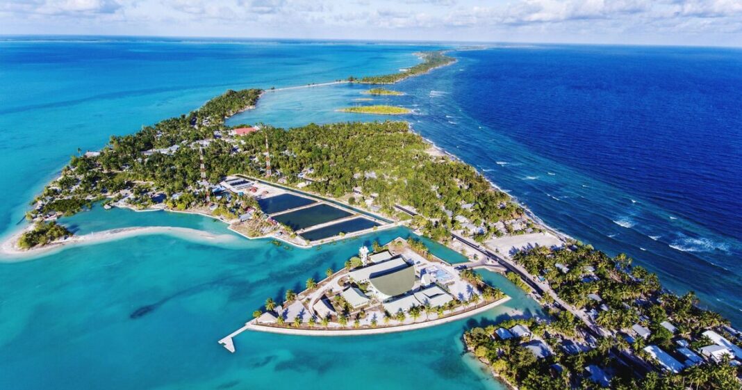 Kiribati will be ‘underwater by 2050’ with 135k locals forced to move | World | News