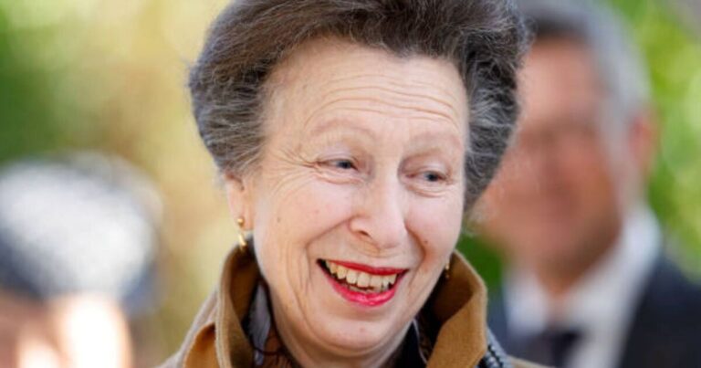 Princess Anne ‘snubbed’ key Prince Harry event after ‘full scale family row’ | Royal | News