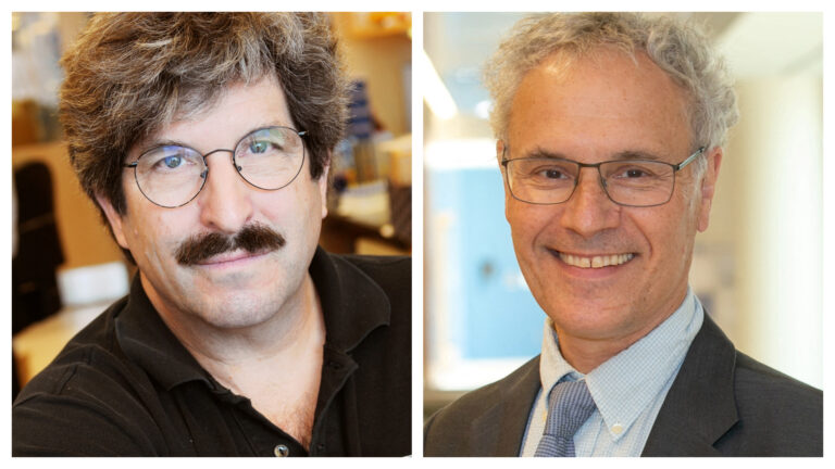 Nobel Prize for Medicine Goes to US Duo Who Discovered MicroRNA