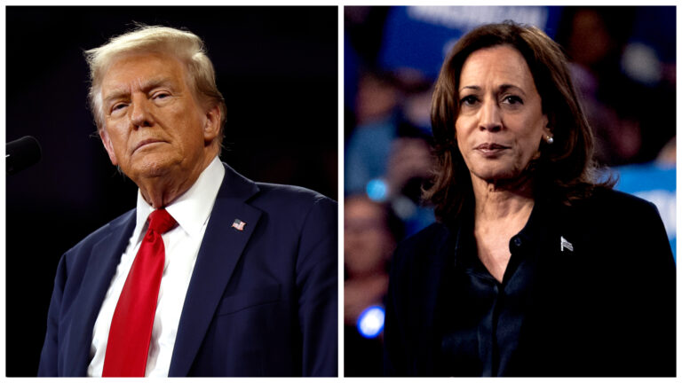 For Both Parties ‘This Is a Base Election, And a Turnout Election’: Republican Strategist