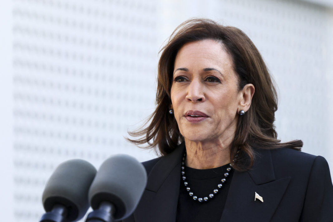 Harris Pivot to ‘Very Pro Business, Pro War, Pro Israel’ Hurt Campaign: Expert
