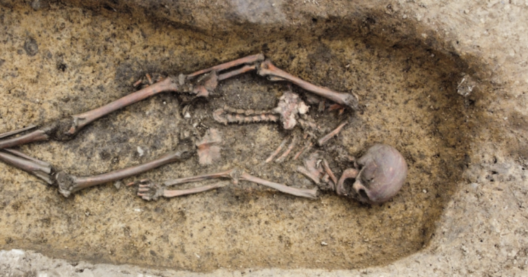 50 “exceptionally well-preserved” Viking skeletons unearthed in Denmark