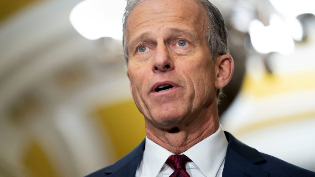 Republicans elect John Thune Senate majority leader
