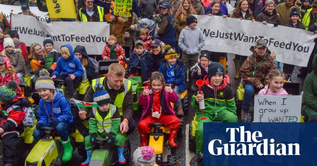 Separating wheat from chuff in the farm tax debate | Inheritance tax