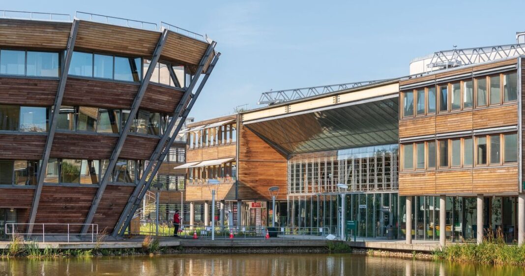 UK university slammed for making ‘troubling’ link between donors and slave trade | UK | News