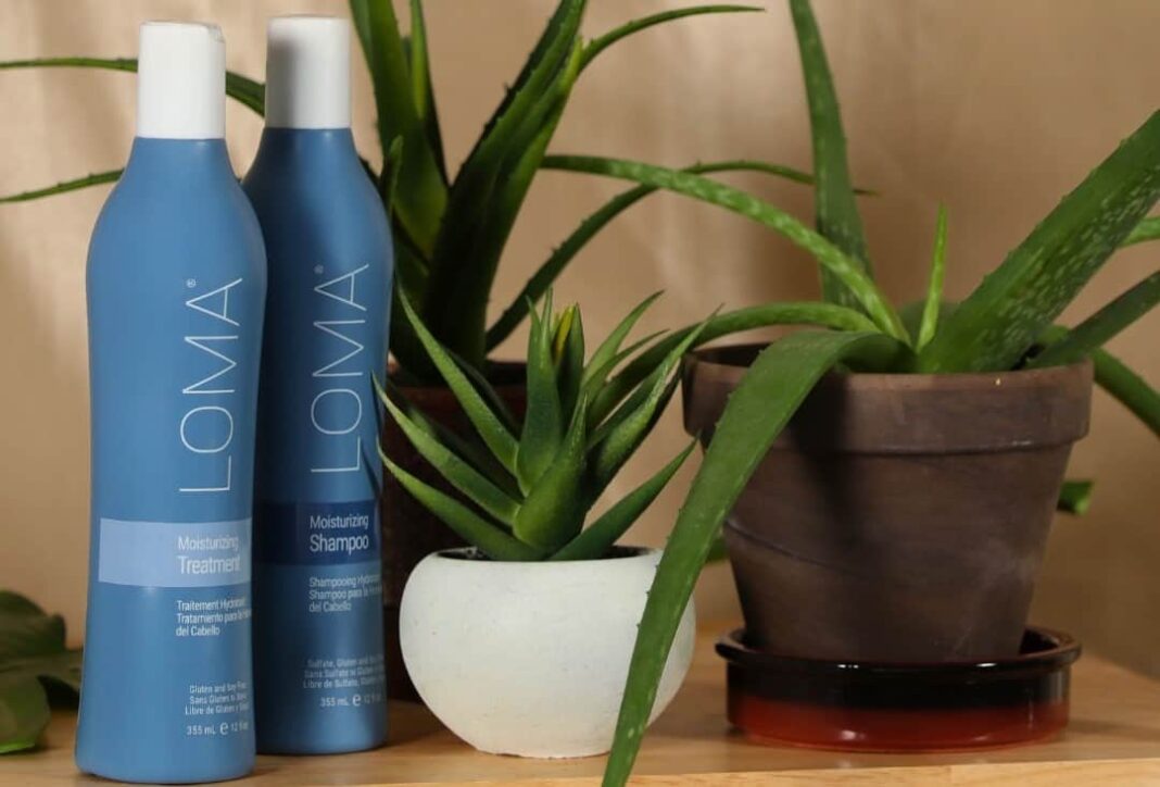 8 Best Natural Shampoos For Men In 2024