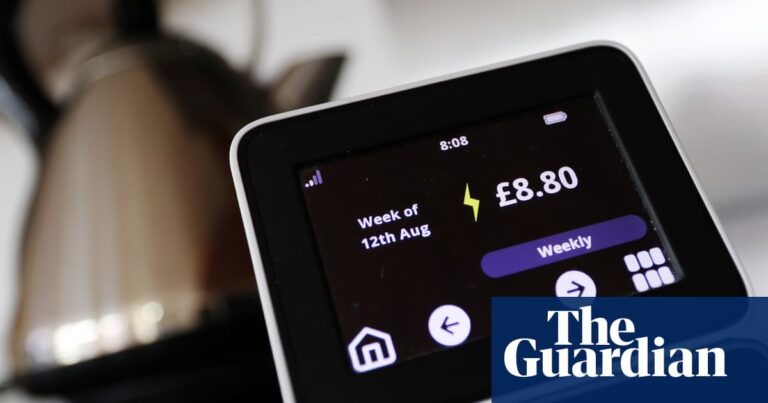 British energy firms told to offer ‘zero’ standing charge tariff by next winter | Energy bills