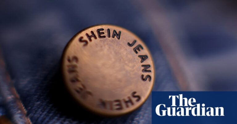 UK financial watchdog delays Shein listing amid supply chain scrutiny | Shein