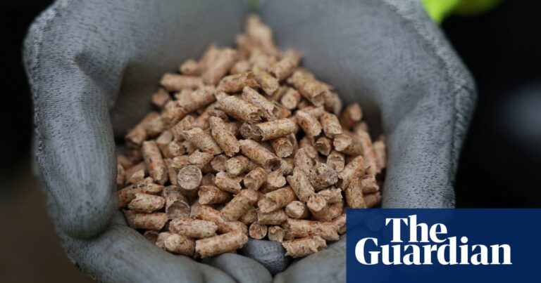 UK gambling with climate targets over carbon capture, say campaigners | Drax