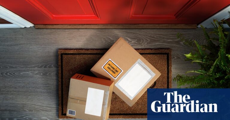 From cat litter to incontinence pads: UK shoppers on how ‘porch pirates’ got caught out | Online shopping