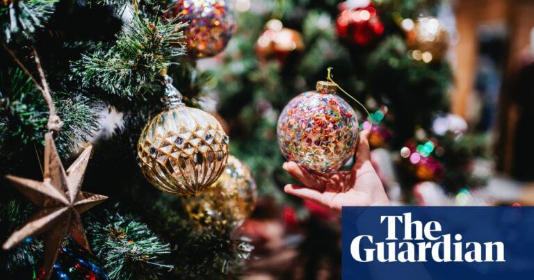 Meta to Murdoch: Take the Guardian’s Christmas business quiz