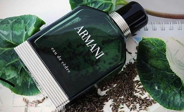 6 Best Pine Colognes For Men In 2024