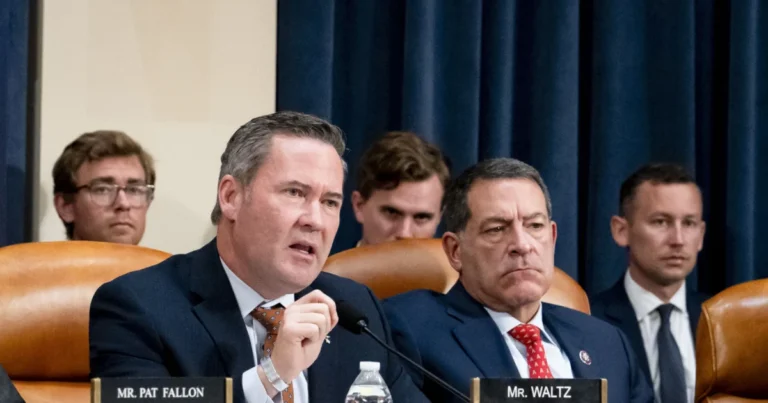 US Needs to Go on Cyber Offense, Says Waltz