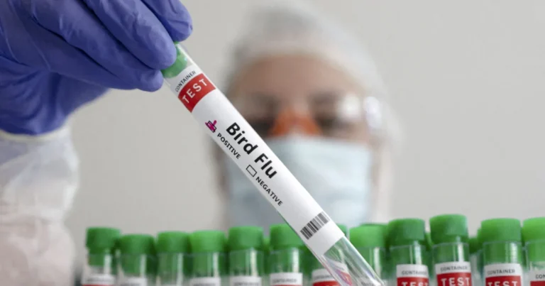 CDC Confirms 1st Severe US Case of Bird Flu In Louisiana