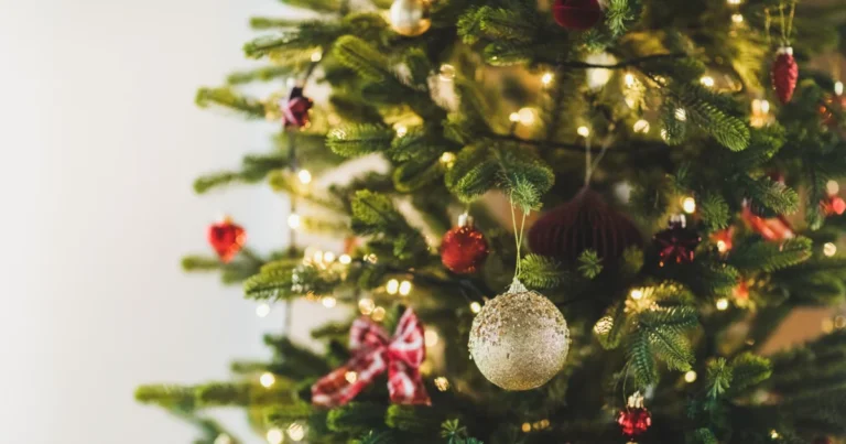 Christmas Debate: Fake Trees vs. Real Trees
