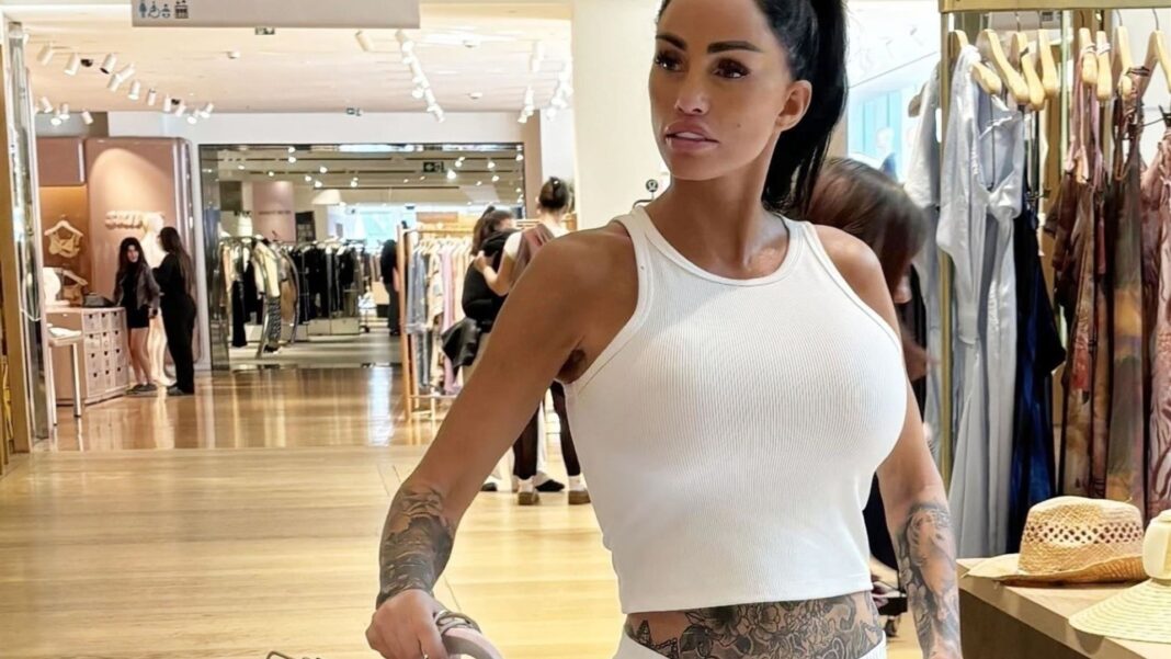 Braless Katie Price braves the cold as she goes shopping in see-through vest top – after landing huge panto fee
