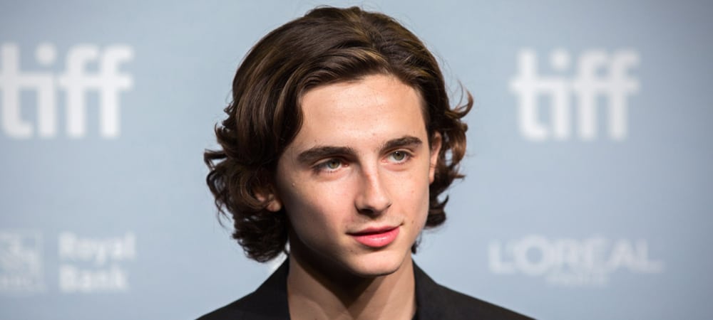 How To Get Timothée Chalamet’s Glorious Hair