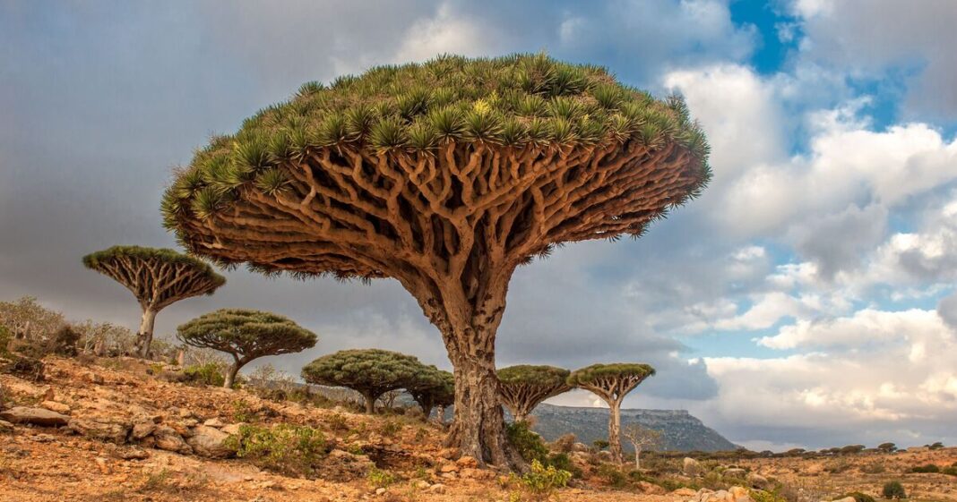 The jaw-dropping island that’s been described as ‘the most alien-looking place on Earth’ | World | News