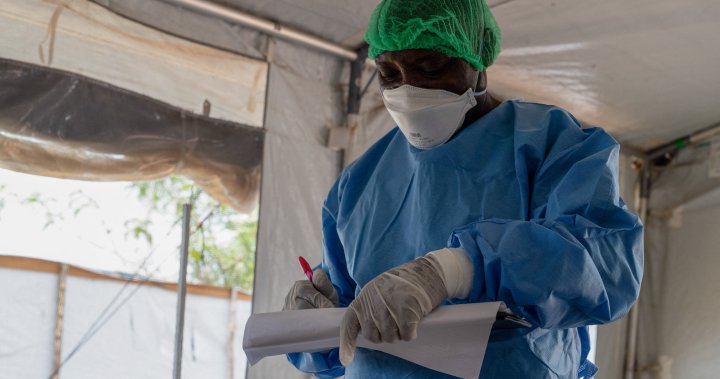 Mystery illness kills dozens in Congo after children ate bat – National