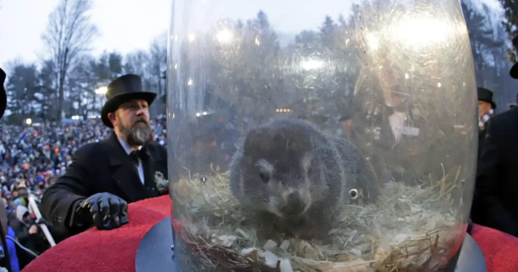 Punxsutawney Phil Sees His Shadow, Handlers Say, Predicting 6 More Weeks of Wintry Weather