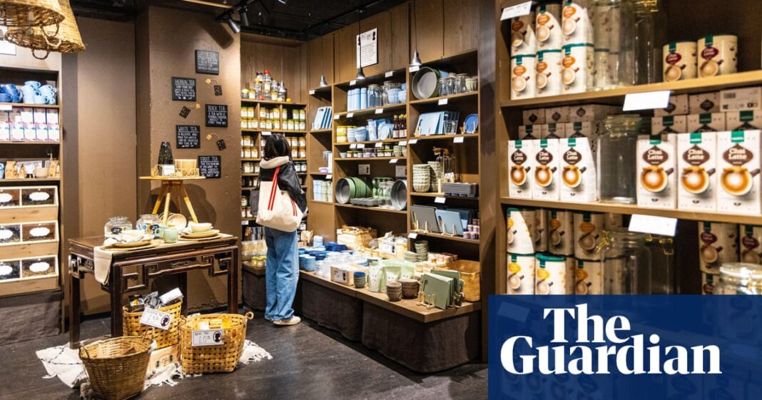 Retailer Søstrene Grene joins Nordic invaders hoping to revive UK high street | Retail industry