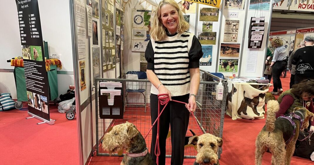 Everything you should know about the ‘King of the Terriers’ | UK | News