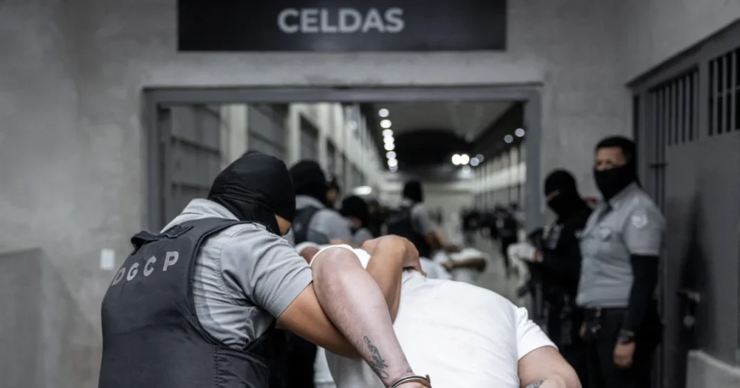 ICE Arrests 68 Tren de Aragua Gang Members