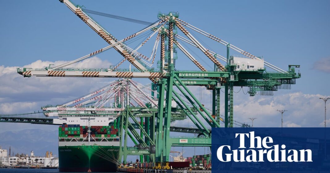 Trump tariffs will send global trade into reverse this year, warns WTO | Trump tariffs