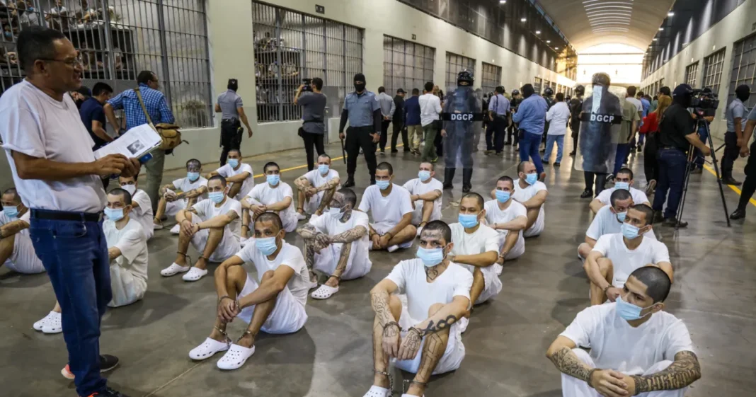 2 Judges Limit Trump’s Deportations Under Wartime Law