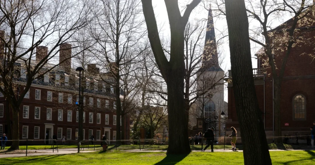 DEI in Schools Does Not Improve Learning Outcomes: Education Expert