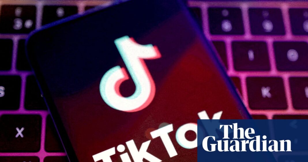 TikTok breached EU advertising transparency laws, commission says | TikTok