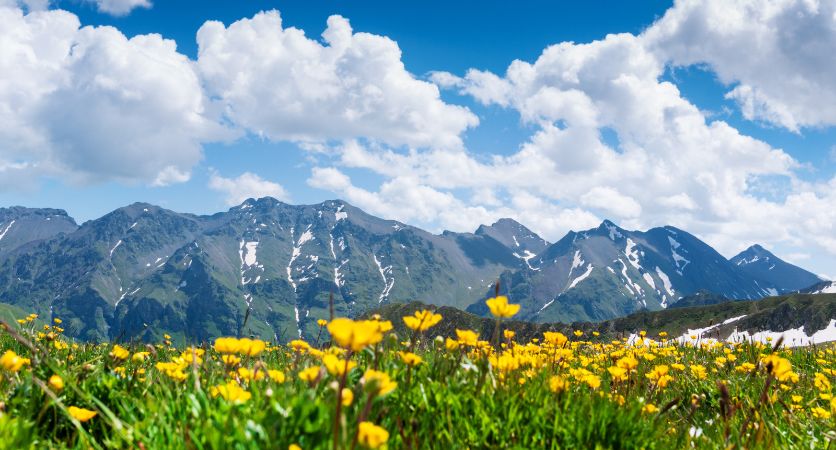 Here’s Top Ten Exotic Passport-Free Destinations for U.S. Travelers: Ultimate Guide to Must-Visit Getaways Without a Passport, You Need To Know