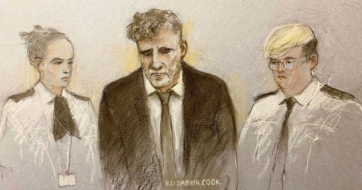 Temporary trial date set for Liverpool parade car crash suspect – National