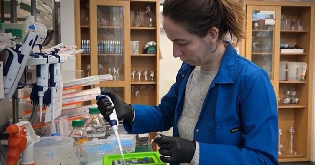 Health expert calls Trump’s medical research cuts “reckless destruction”