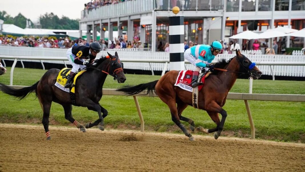 2025 Preakness Stakes sleepers, free advice, odds, contenders: 3 top longshot picks for Pimlico Race Course