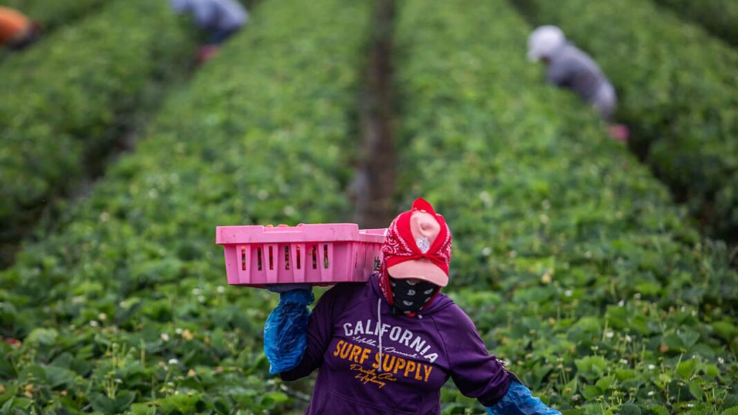 Trump administration tells 500,000 immigrants to ‘self-deport’