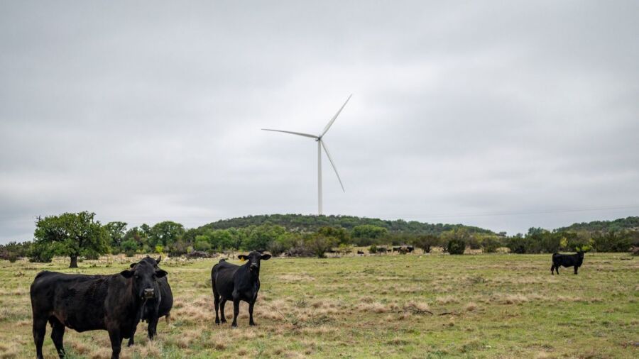 id915000-texas-farmland-900x506.jpg