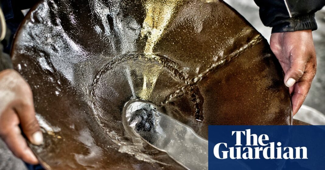 It is one of the deadliest chemicals on Earth – but even Mexico’s cartels can’t resist the lure of mercury | Global development