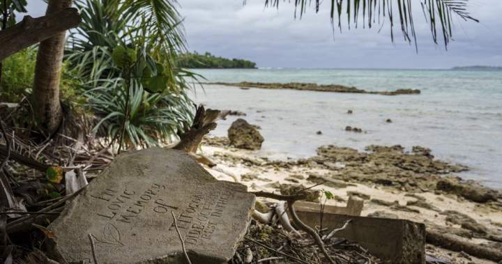 UN top court’s decision on climate change could impact global response – National