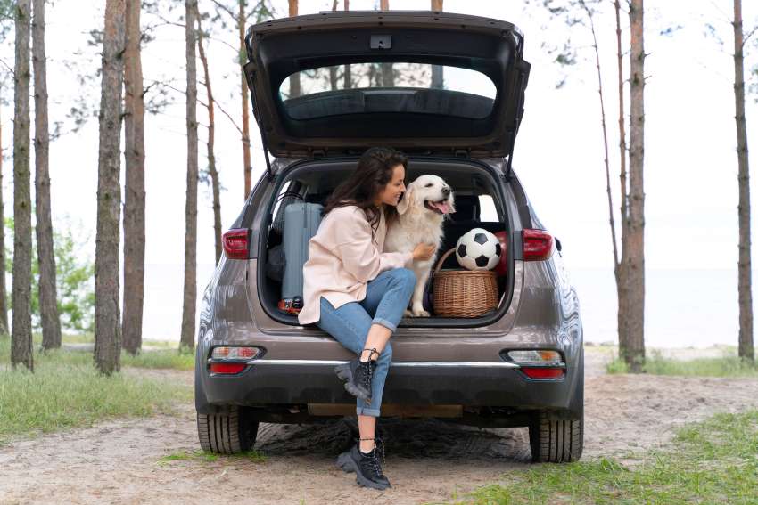 Now, Metro Manila, Makati, and Parañaque Lead Pet-Friendly Tourism Push as Tavo Launches Crash-Tested Maeve Pet Travel System in the Philippines: What You Really Need To Know As A Pet-lover And Travel Enthusiast