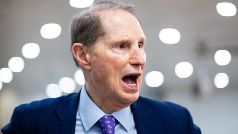 Trump weak for firing BLS chief McEntarfer over jobs report: Wyden