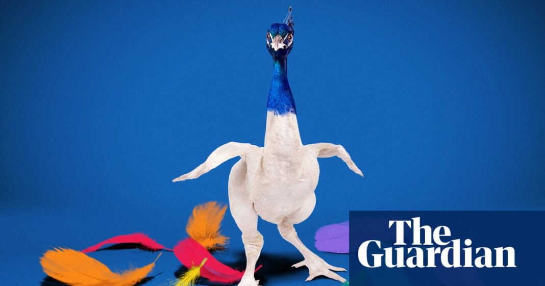 What’s in a name? MSNBC, soon to be MS Now, adds to perilous history of the corporate rebrand | MSNBC