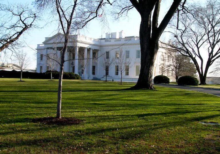 White House says chip revenue deals could extend beyond Nvidia and AMD