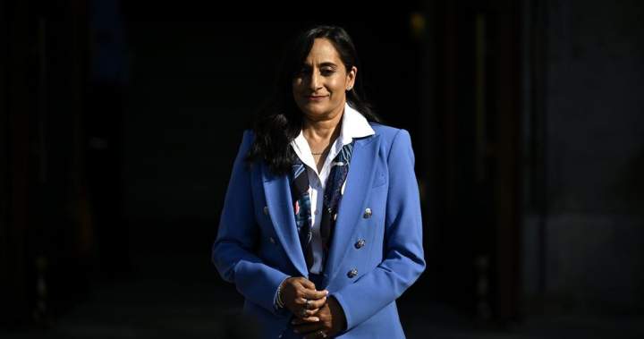 Canada leaving ‘no stone unturned’ to defend Arctic alongside NATO: Anand – National