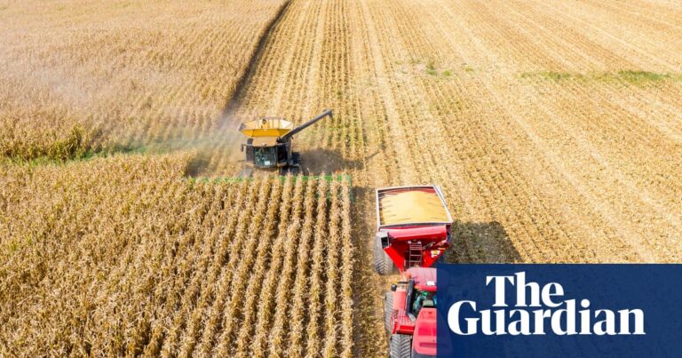 Farmers in US midwest squeezed by Trump tariffs and climate crisis | Ohio