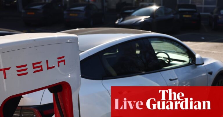 Tesla’s UK sales fall almost 60% in July as BYD surges; Neil Woodford fined and banned over fund collapse – business live | Business