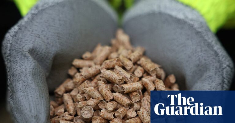 UK power company Drax’s shares plunge amid investigation over source of ‘renewable’ fuel | Drax