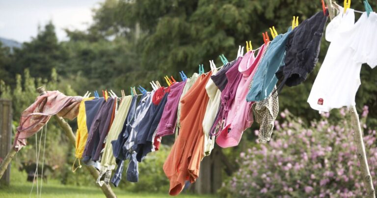 UK households urged not to dry clothes on washing lines before Thursday | UK | News