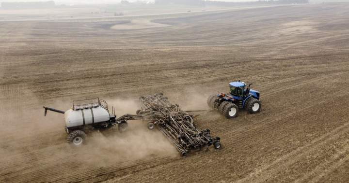 China adds ‘additional pressure’ with new tariffs on Canadian canola – National